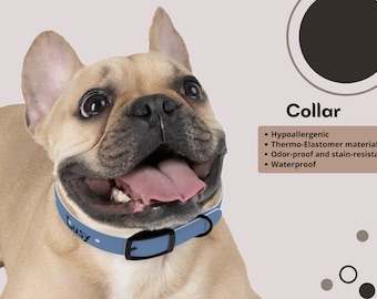 Collar Collar para perro Collar para gato Collar personalizado Accesorios para mascotas Collar impermeable