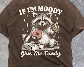 Moody Raccoon Pizza Donut Comfort Colors Shirt, Funny Graphic Tee, VT035