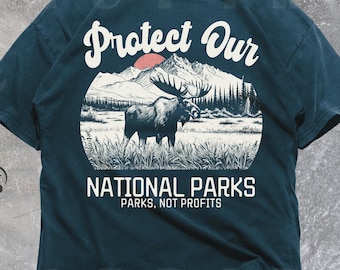 Retro National Parks Graphic Tee, Comfort Colors Moose Shirt, VT039