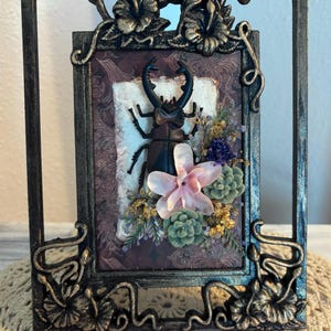 Puede incluir: Un marco rectangular negro con detalles florales en relieve contiene un fondo morado con patrones. Una figura de escarabajo ciervo negro está centrada sobre un grupo de flores artificiales de color rosa claro, pequeñas suculentas verdes y follaje seco.