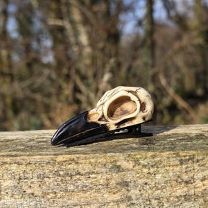 Norse Mythology Skull Raven head hair clip pagan viking shield maiden
