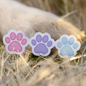 May include: Three colorful paw print stickers in pink, purple, and blue, arranged in a row. The stickers are set against a backdrop of dry grass, with a blurred white dog's leg in the background. The stickers are a cute accessory.