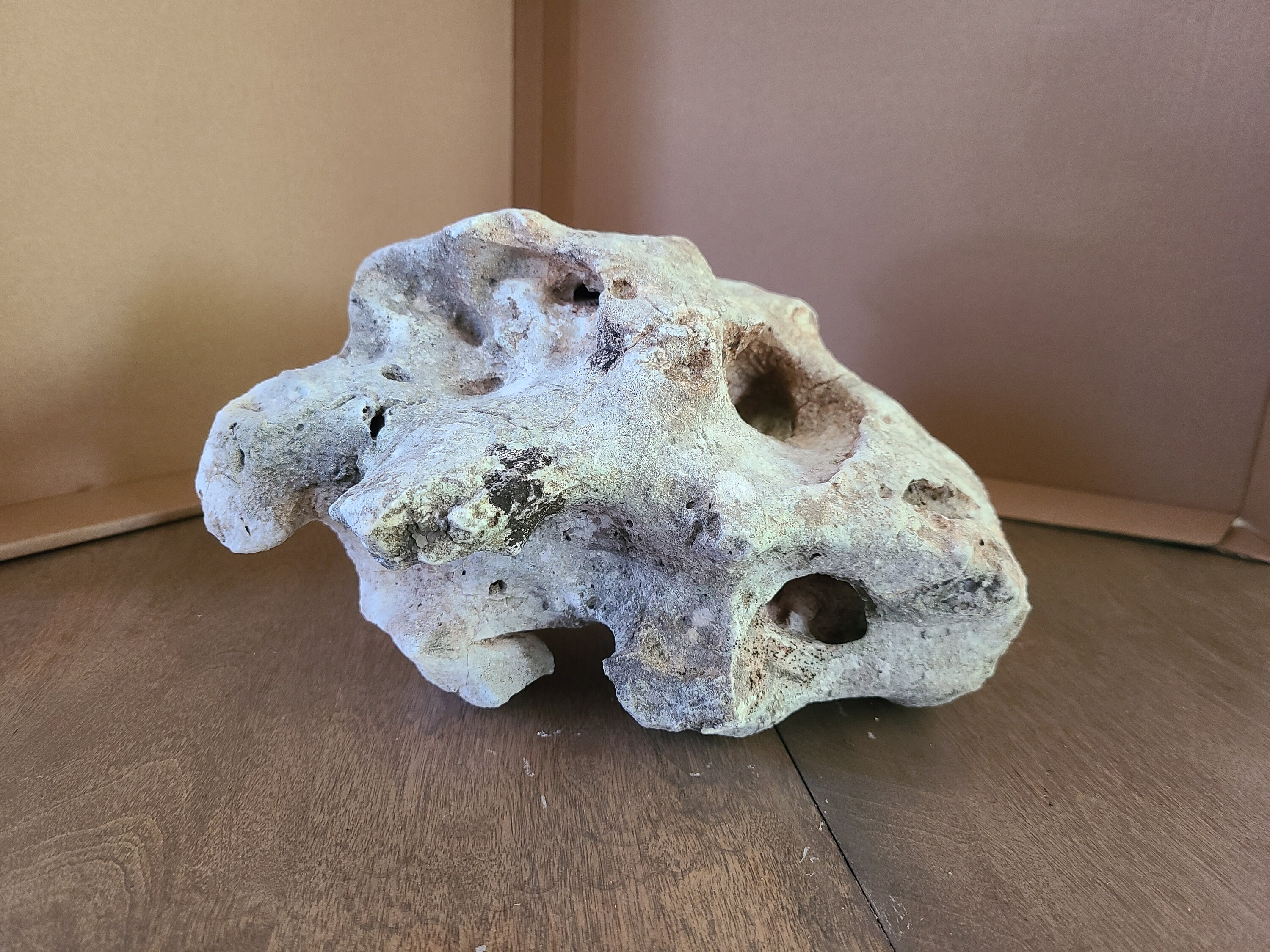 Texas Holey Rock Limestone Fish Aquarium Reptile Habitat Terrarium