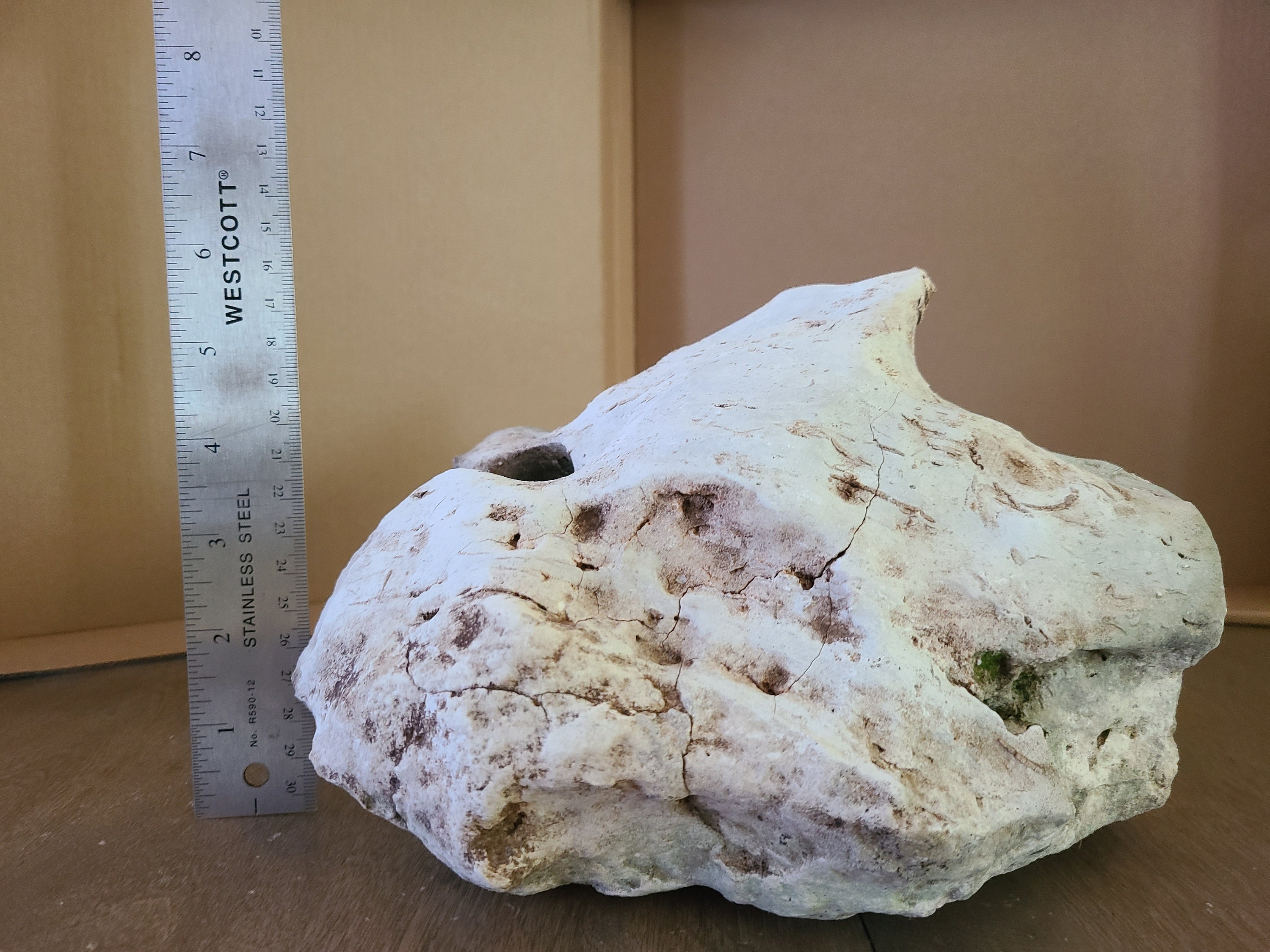 Texas Holey Rock Limestone Fish Aquarium Reptile Habitat Terrarium