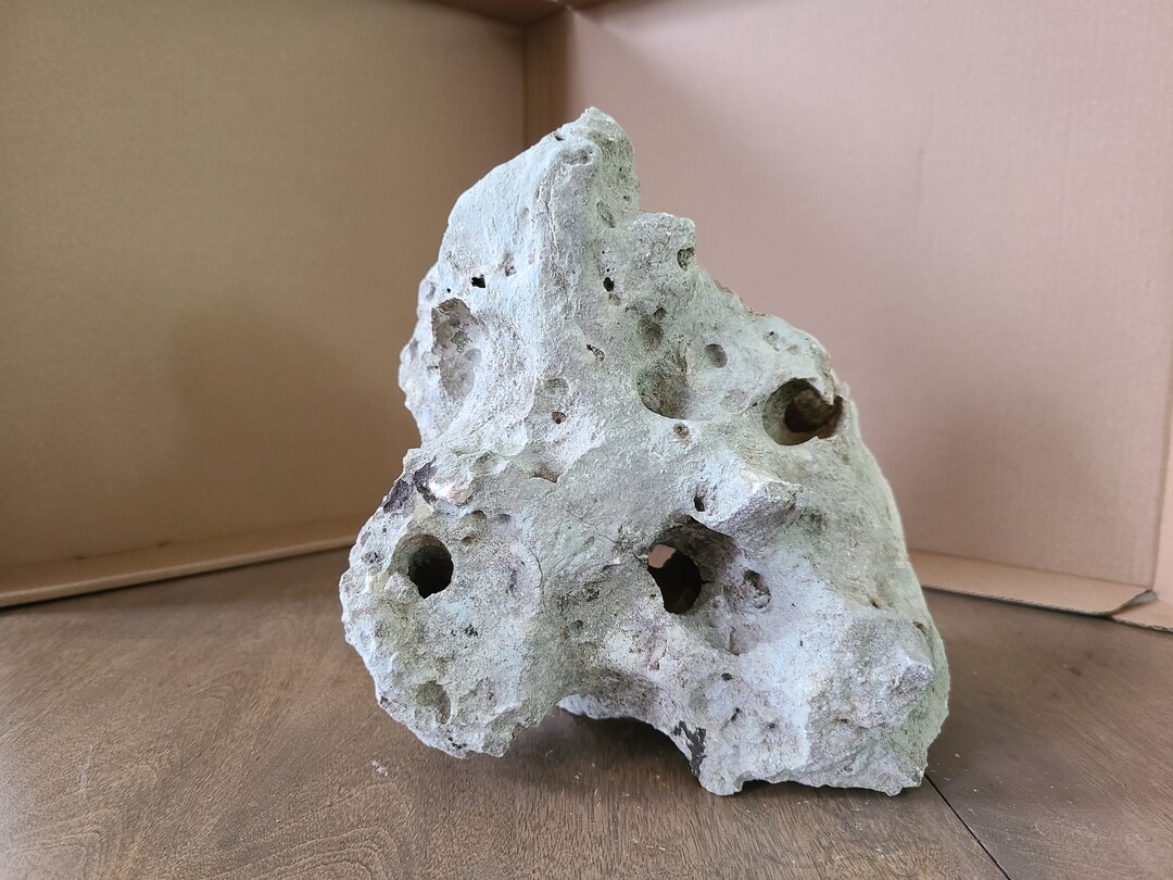 Texas Holey Rock Limestone Fish Aquarium Reptile Habitat Terrarium Decor for Aquatic Pets Garden