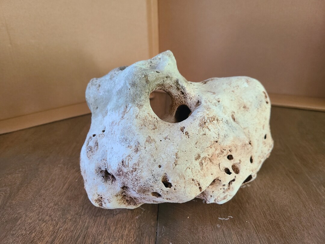 Texas Holey Rock Limestone Fish Aquarium Reptile Habitat Terrarium Decor for Aquatic Pets Garden