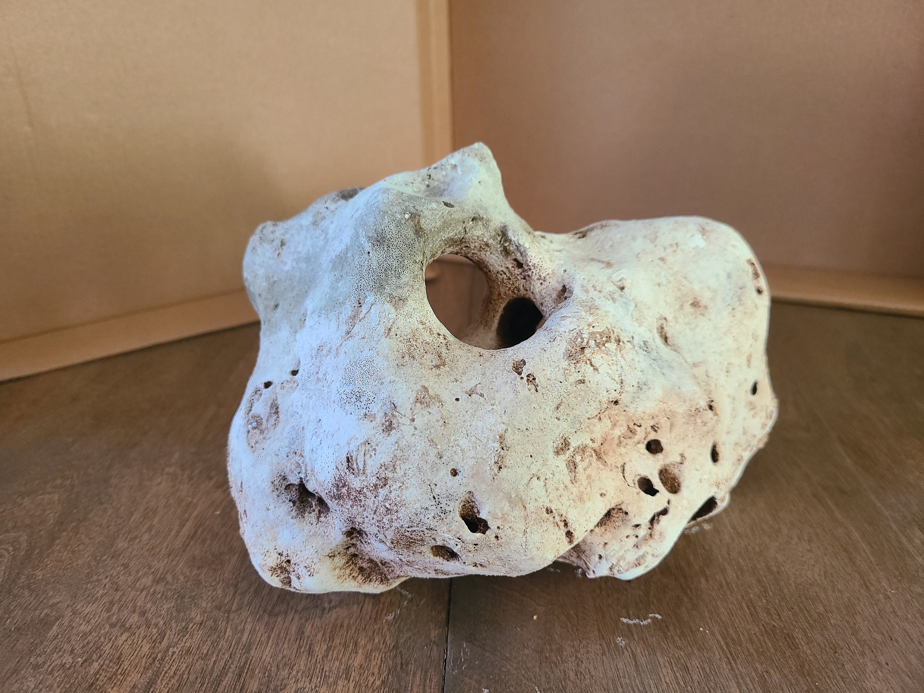 Texas Holey Rock Limestone Fish Aquarium Reptile Habitat Terrarium