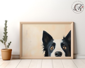 Könnte beinhalten: Ein schwarz-weißer Border Collie schaut hinter einer hellbeigen Wand hervor. Die Augen des Hundes sind braun und seine Nase ist schwarz. Das Fell des Hundes ist weich und flauschig.