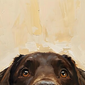 Puede incluir: Primer plano de la cara de un labrador retriever marr&oacute;n chocolate, mirando hacia arriba con ojos marrones curiosos. La nariz del perro es visible, y el fondo es beige claro.