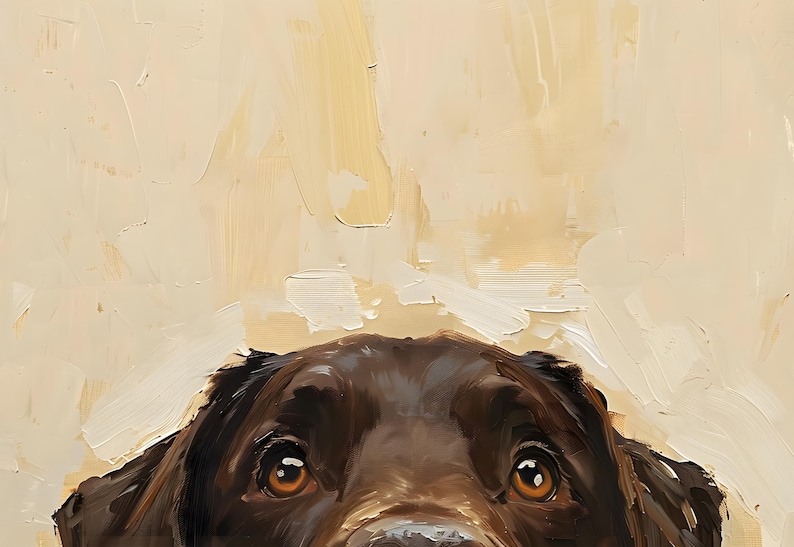 Puede incluir: Primer plano de la cara de un labrador retriever marr&oacute;n chocolate, mirando hacia arriba con ojos marrones curiosos. La nariz del perro es visible, y el fondo es beige claro.