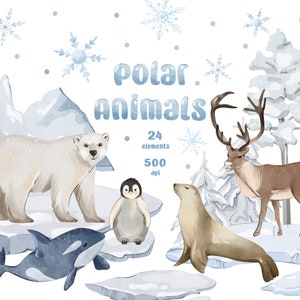Polar Animals Clipart, Arctic Animal PNG, Winter Graphic, Greeting card, Digital Clipart