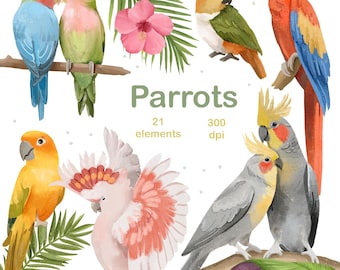 Watercolor Parrots Clipart PNG: Tropical Bird & Leaves (Digital Download)