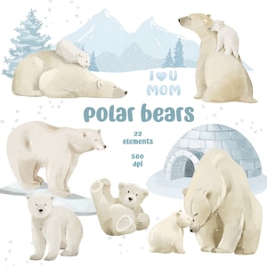 Polar Bears Clipart PNG,Watercolor Arctic Animals Set,Baby Polar Bear,Arctic Wildlife Clipart,Winter White Bears,North Pole,Digital Download