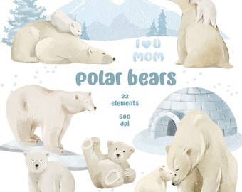 Watercolor Polar Bear Clipart: Arctic Animals PNG Set, North Pole (Digital Download)