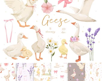 Watercolor Geese Clipart: Cottagecore Goose Illustration PNG, Silly Goose,Farm Nursery (Digital Download)