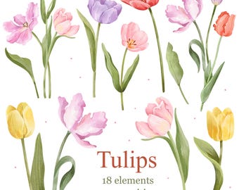 Watercolor Tulips Clipart, Spring Flowers PNG Graphics, Digital Download
