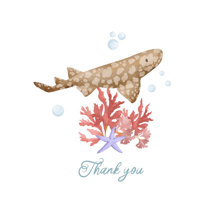 Watercolor Sharks Clipart: Marine Ocean PNG Graphics, Sea Life (Digital Download image 5
