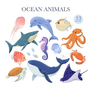 K&ouml;nnte beinhalten: Ein Set mit 13 bunten Cartoon-Meerestieren, darunter ein Hai, ein Delfin, ein Wal, ein Tintenfisch, ein Seepferdchen, eine Qualle, ein Kugelfisch, eine Schildkr&ouml;te, ein Rochen und eine Krabbe. Der Text "OCEAN ANIMALS" befindet sich oben im Bild und "13 ELEMENTS" in einem Kreis oben rechts.