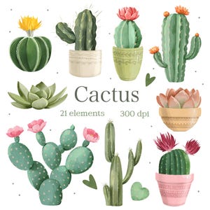 Watercolor Cactus Clipart , Succulent PNG, Desert Plants Illustration, Digital Download