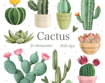 Watercolor Cactus Clipart , Succulent PNG, Desert Plants Illustration, Digital Download