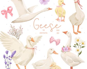 Watercolor Geese Clipart, Farm Animal Illustrations with Bows (PNG, Digital Download)
