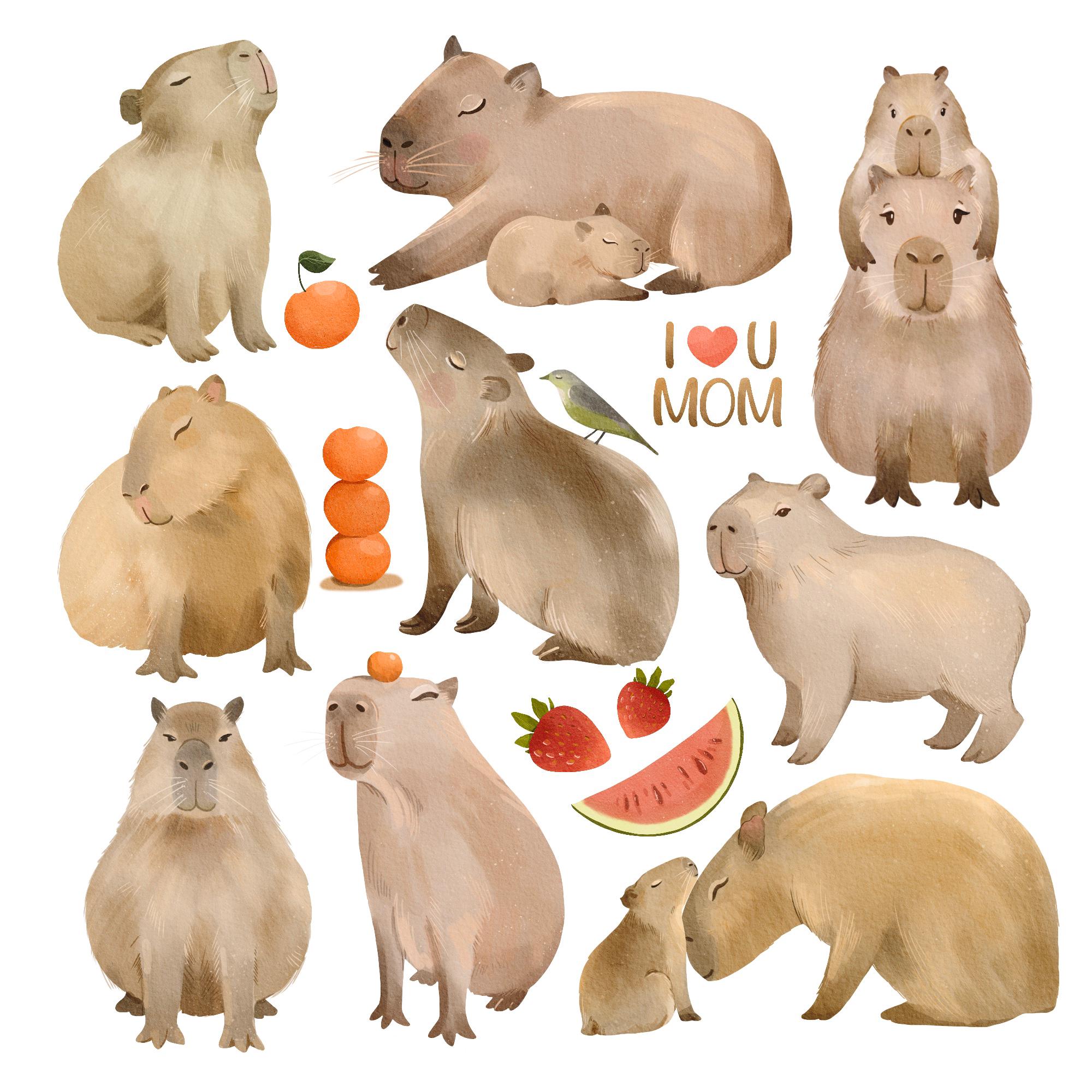 Watercolor Capybara Clipart PNG, Pups, Nursery Decor (digital Download ...