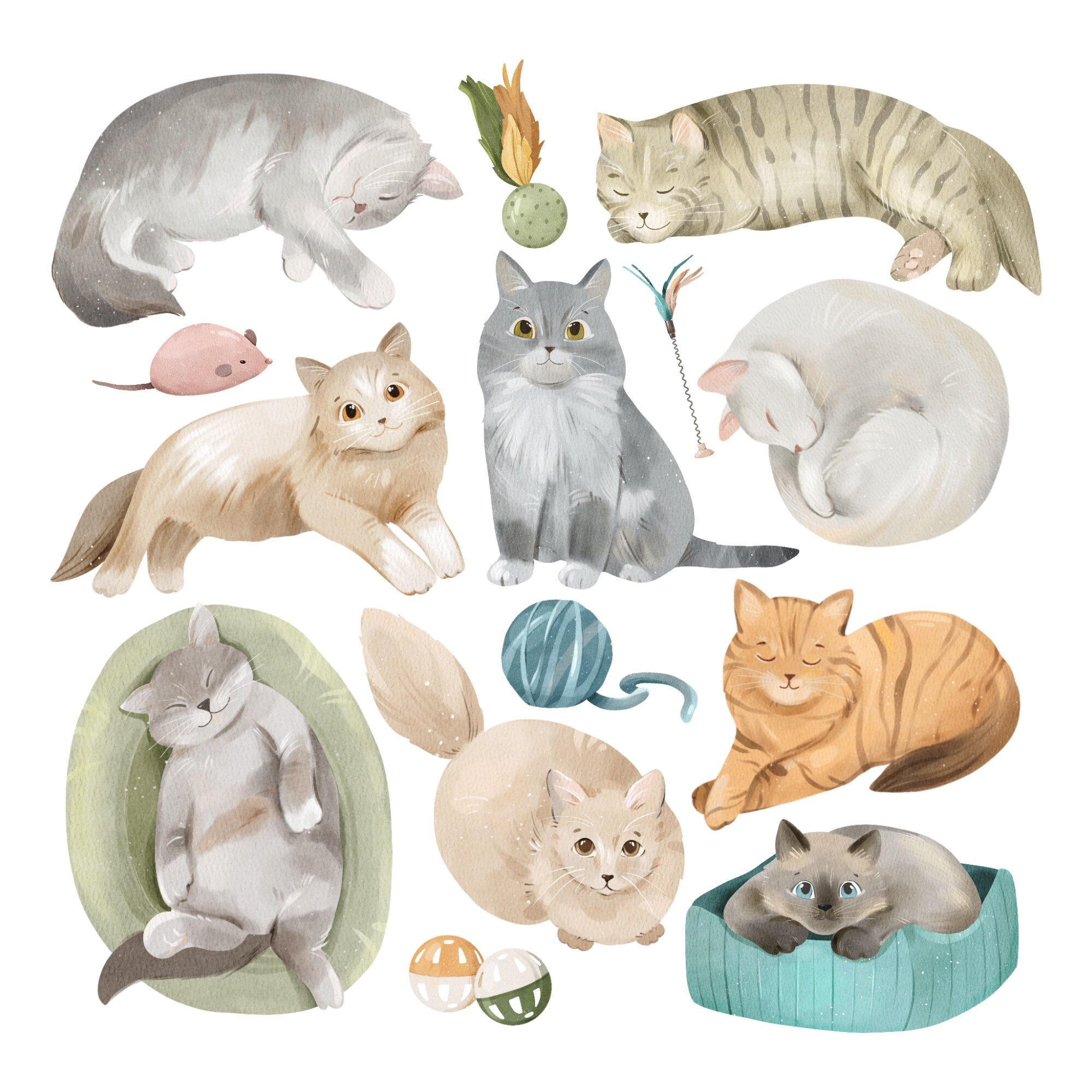Watercolor Cats Breeds Clipart: Funny Kitty PNG Graphics (digital ...