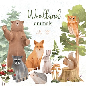 Watercolor Woodland Animals Clipart: Forest Nursery Art (PNG Digital Download)