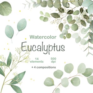 Watercolor Eucalyptus Clipart, Green Leaves Frame PNG, Greenery Set, Gold Foliage, Wedding Clipart
