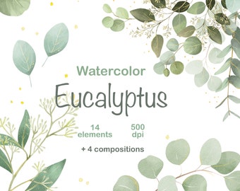 Watercolor Eucalyptus Clipart, Green Leaves Frame PNG, Greenery Set, Gold Foliage, Wedding Clipart