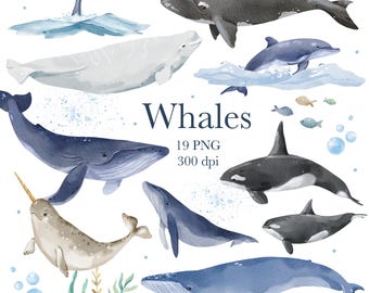 Watercolor Whales Clipart, Nautical Ocean Animal PNG, Kids Nursery Designs, Digital Download