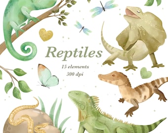 Watercolor Reptiles Clipart: Exotic Animals PNG, Chameleon, Forest Dragon, Turtle, Iguana (Digital Download)