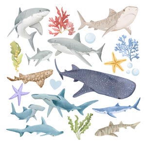 Watercolor Sharks Clipart: Marine Ocean PNG Graphics, Sea Life (Digital Download image 2