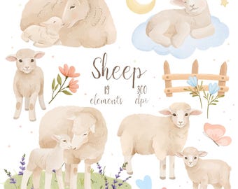 Watercolor Sheep Clipart: Baby Lamb PNG, Nursery Art, Sleeping Animal (Digital Download)