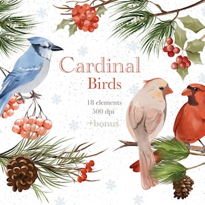 Cardenal de acuarela, pájaro rojo de acuarela, aves invernales PNG, imágenes prediseñadas navideñas, arte festivo, descarga digital
