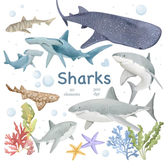 Watercolor Sharks Clipart: Marine Ocean PNG Graphics, Sea Life (Digital Download