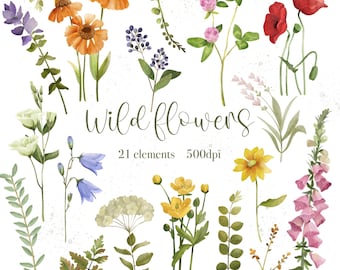Aquarell Wildblumen Clipart: Botanische PNG Set (Digitaler Download)