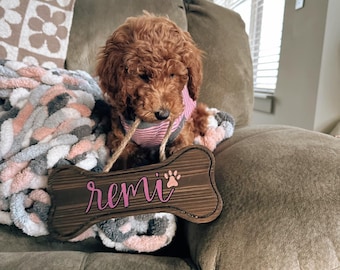 Personalized Wooden Dog Crate Sign - Handpainted Pet Kennel Plate - Hanging Dog Name Tag - Custom Pet Nametag - Pet Lover Gift - Pet Decor
