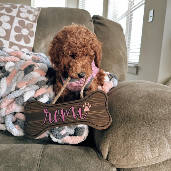 Personalized Wooden Dog Crate Sign - Handpainted Pet Kennel Plate - Hanging Dog Name Tag - Custom Pet Nametag - Pet Lover Gift - Pet Decor