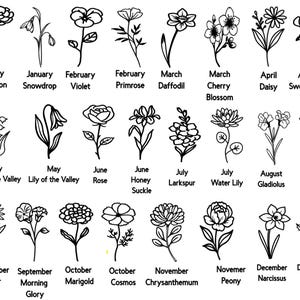 May include: Black and white line drawings of various flowers, each labeled with a month and flower name. Includes Carnation, Snowdrop, Violet, Primrose, Daffodil, Cherry Blossom, Daisy, Sweet Pea, Lily of the Valley, Rose, Honey Suckle, Larkspur, Water Lily, Gladiolus, Poppy, Aster, Morning Glory, Marigold, Cosmos, Chrysanthemum, Peony, Narcissus, and Holly.