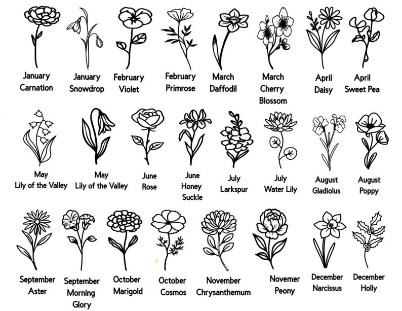 May include: Black and white line drawings of various flowers, each labeled with a month and flower name. Includes Carnation, Snowdrop, Violet, Primrose, Daffodil, Cherry Blossom, Daisy, Sweet Pea, Lily of the Valley, Rose, Honey Suckle, Larkspur, Water Lily, Gladiolus, Poppy, Aster, Morning Glory, Marigold, Cosmos, Chrysanthemum, Peony, Narcissus, and Holly.