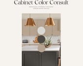 Cabinet Color Consult
