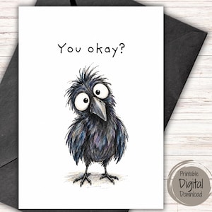 Può includere: Un biglietto d'auguri bianco con un'illustrazione stravagante di un uccello nero soffice con grandi occhi, piume arruffate e un becco appuntito. Sopra l'uccello, il testo "You okay?" è stampato in un carattere nero, semplice e senza grazie.