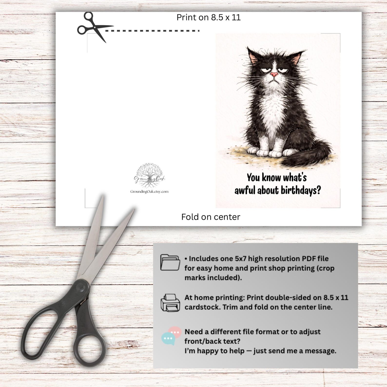 Funny Cat Birthday Card – Sarcastic Humor Card for Friend or ...