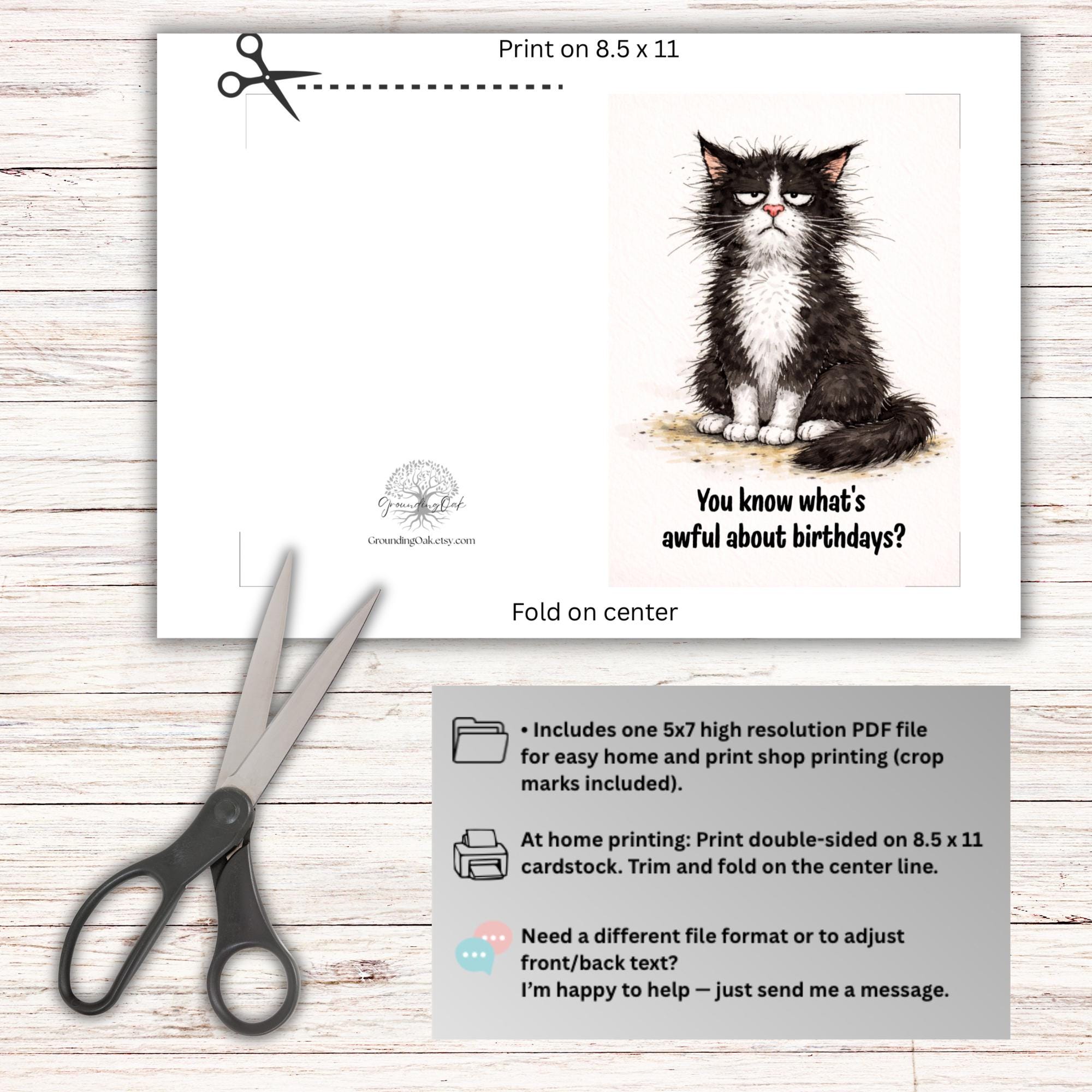 Funny Cat Birthday Card – Sarcastic Humor Card for Friend or ...