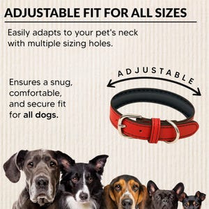 May include: Red and black adjustable dog collar with a silver buckle. The image includes the text "ADJUSTABLE FIT FOR ALL SIZES" and "ADJUSTABLE". The collar is shown above a row of dogs.