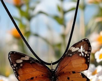 Real Butterfly Necklaces