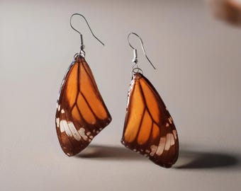 Real Monarch Butterfly Wings Earrings-Resin Art