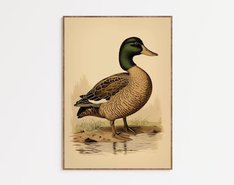 Vintage Mallard Duck Wall Art | Duck Print | Bird Wall Art | Lake Cabin Decor | Nature Wall Art | Farmhouse Wall Art | Boy Nursery | DIGITAL