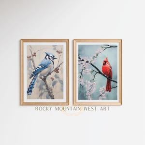 Conjunto de dos impresiones vintage de pájaros cardenal y arrendajo azul navideños / Decoración navideña con pájaros / Arte mural de invierno / Arte mural natural / Cottagecore IMPRIMIBLE